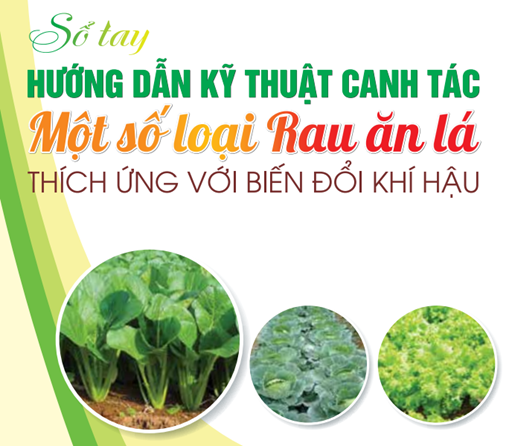 Sổ tay Hướng dẫn kỹ thuật canh tác một số loại rau ăn lá thích ứng với biến đổi khí hậu